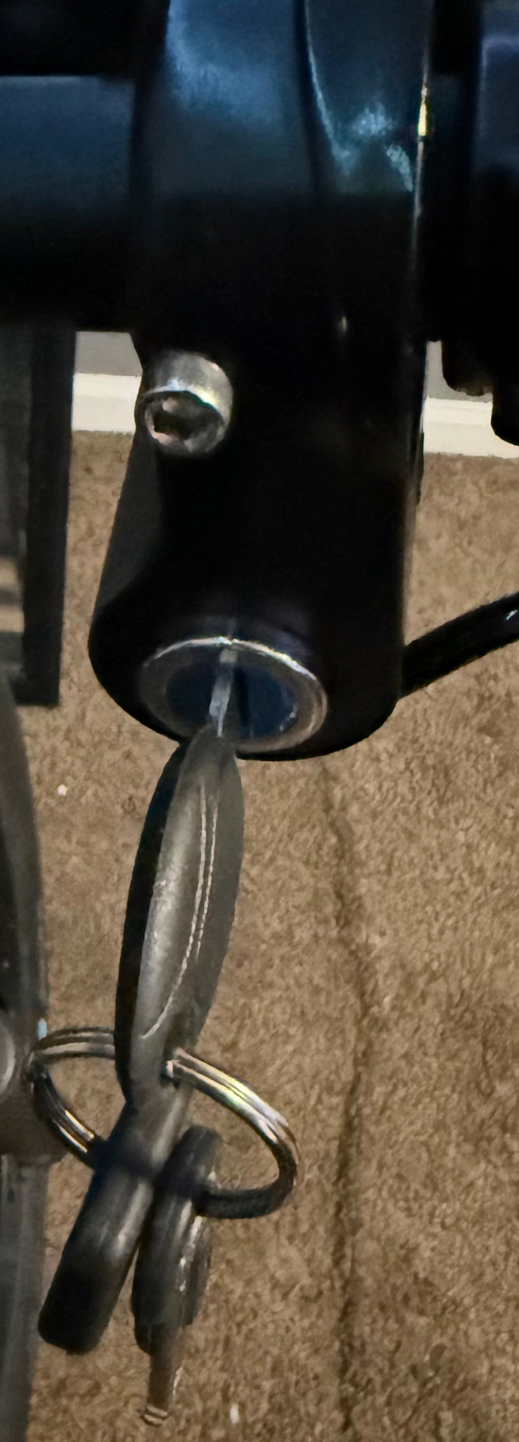 Ridstar Surron throttle